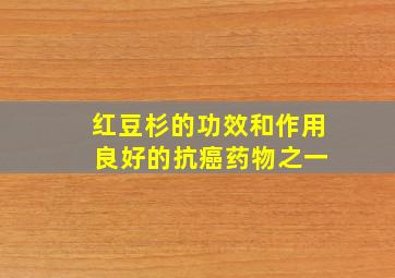 红豆杉的功效和作用 良好的抗癌药物之一